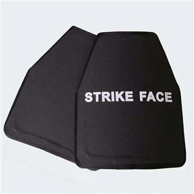 নির্মাতা সিলিকন কার্বাইড+পিই লেভেল নিজ IV স্ট্যান্ডার্ড অ্যালোন প্লেট